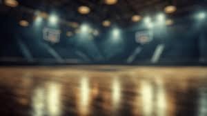 洛杉矶道奇在 2024 年底宣布其主场将在 2025 年常规赛推出“大谷专属视角转播”